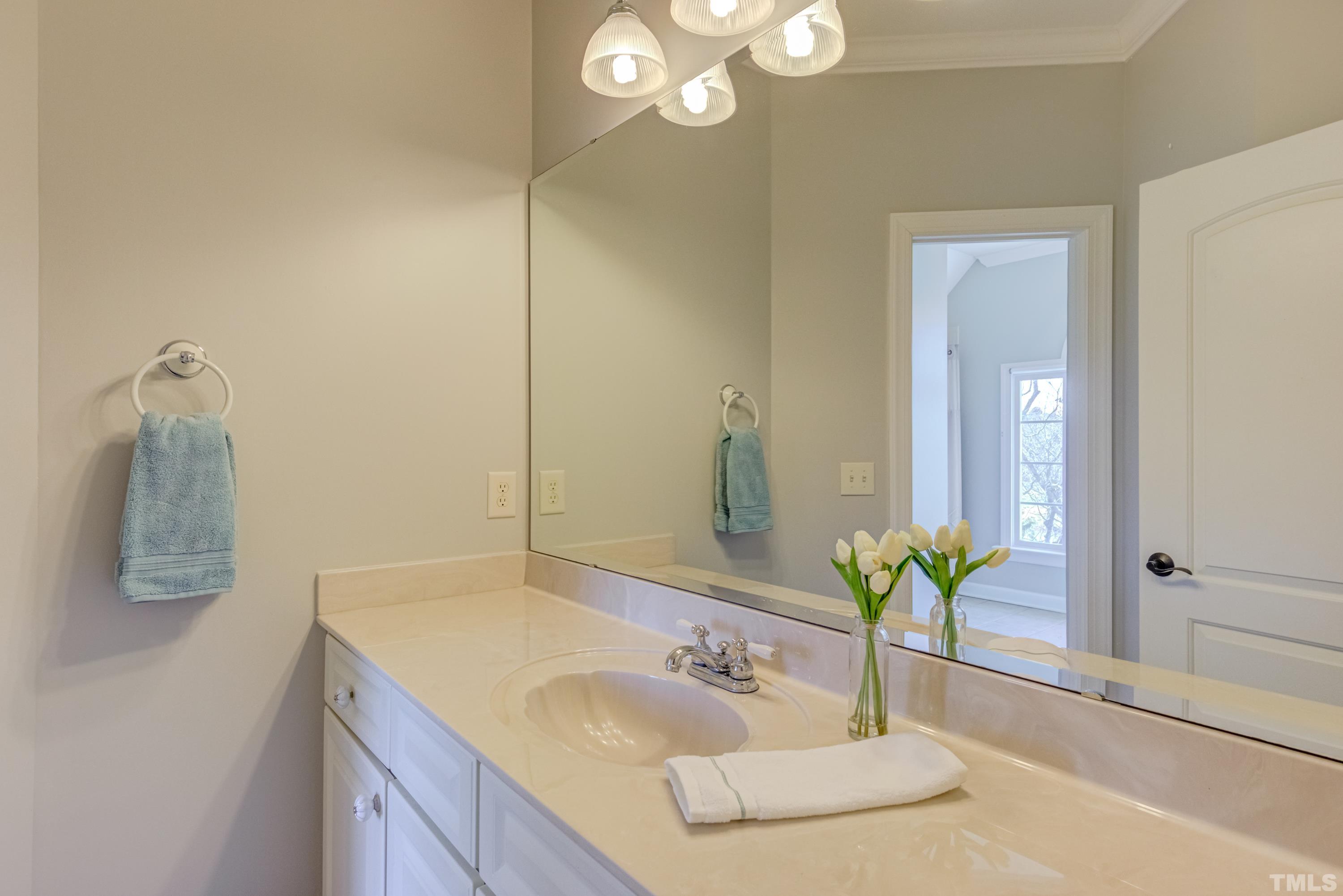 6437 Wakefalls Drive Wake Forest, NC 27587 - Photo 43 of 76 a bathroom with a sink and a mirror