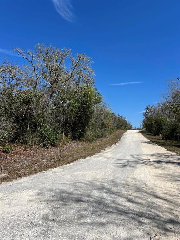 0 Riverstone Street, Unit LOT 26 Webster, FL 33597 - Photo 4 of 7