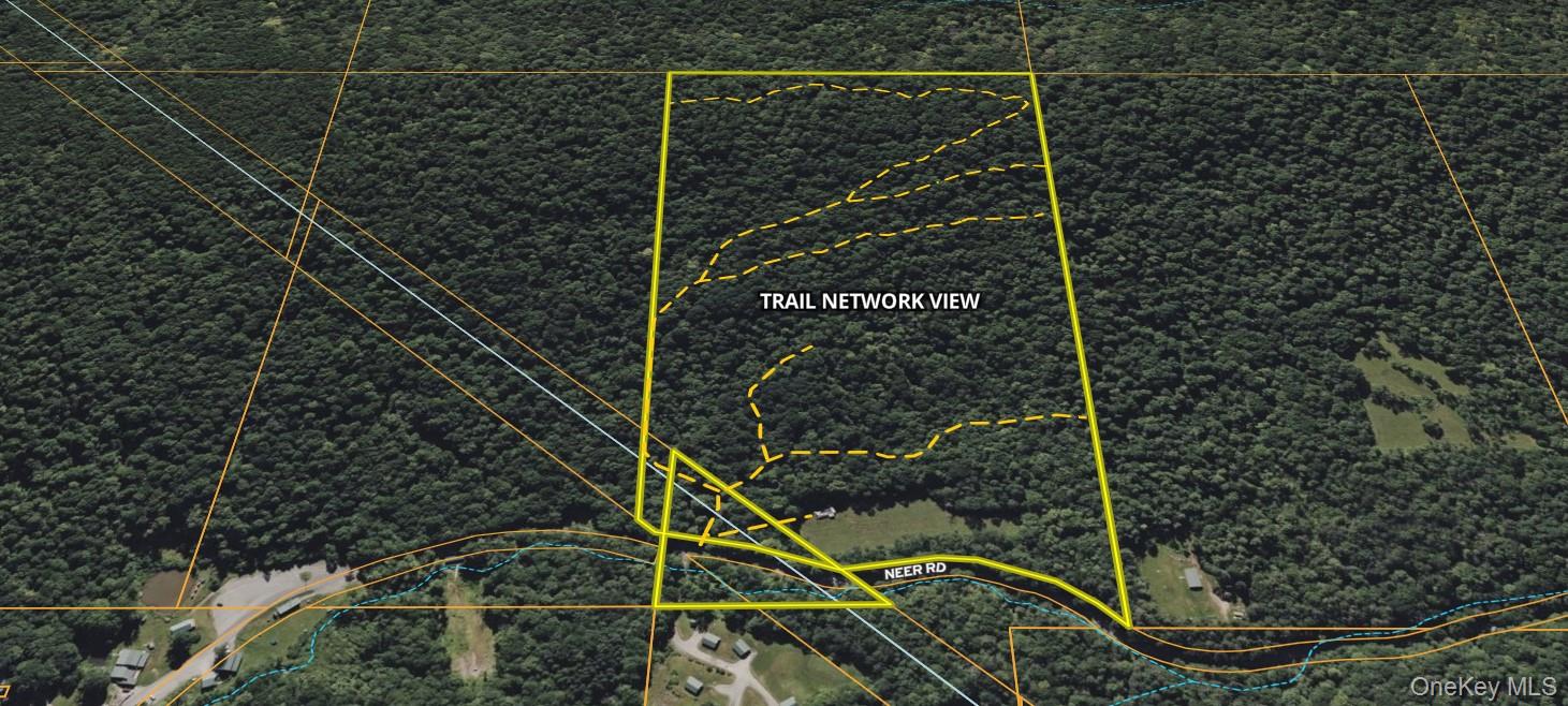 216 Neer Road Long Eddy, NY 12760 - Photo 44 of 48