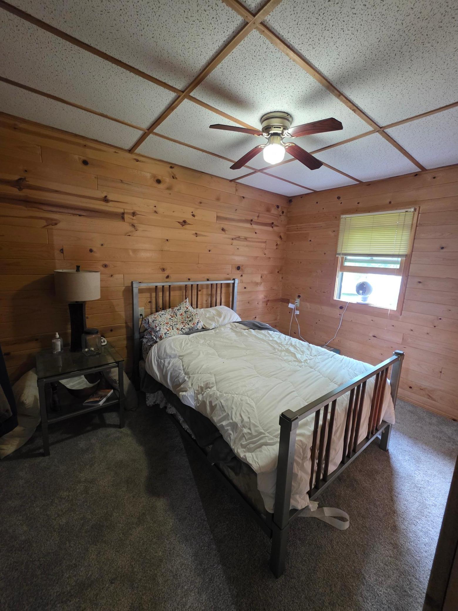 49480 Center Point Road Bigfork, MN 56628 - Photo 12 of 22 Gallery Image 12