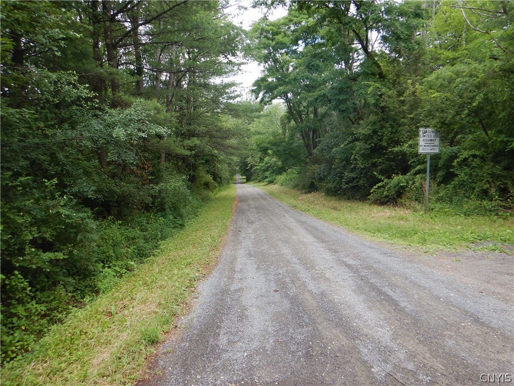 Bull Hill Road Newfield, NY 14867 - Photo 28 of 36
