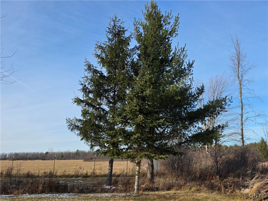 16215 Witt Road Brownville, NY 13622 - Photo 6 of 22