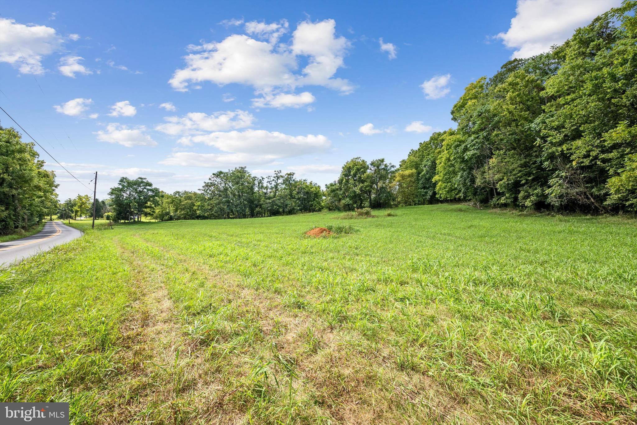 Lot#2 Winebrenner Road Martinsburg, WV 25404 - Photo 10 of 11 a view of a grassy field with trees in the background