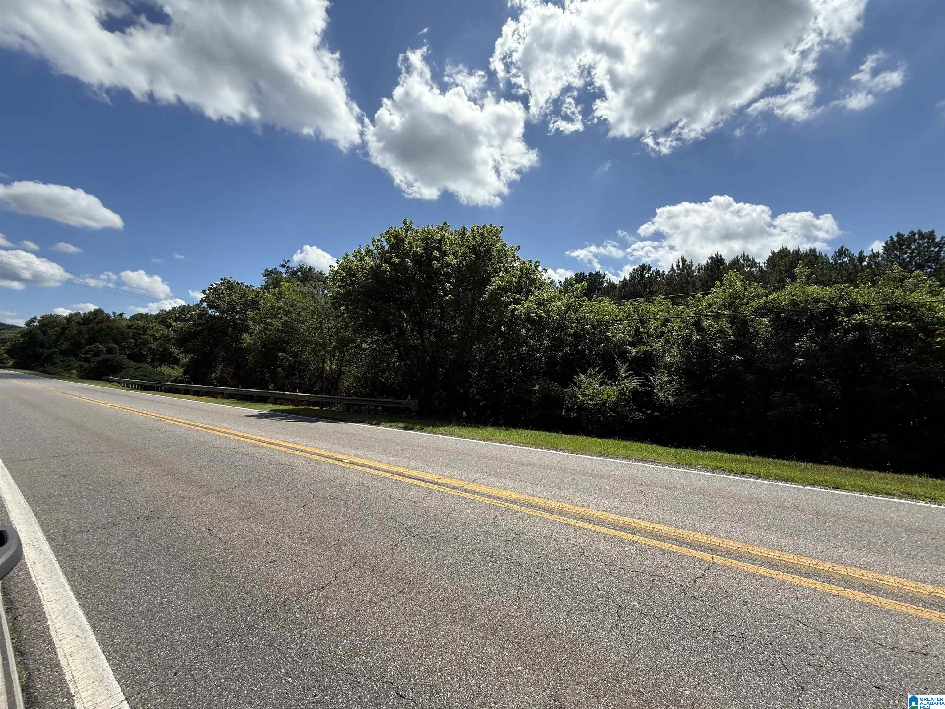0 Highway 21 Sycamore Al, Unit 1 Alpine, AL 35014 - Photo 2 of 6