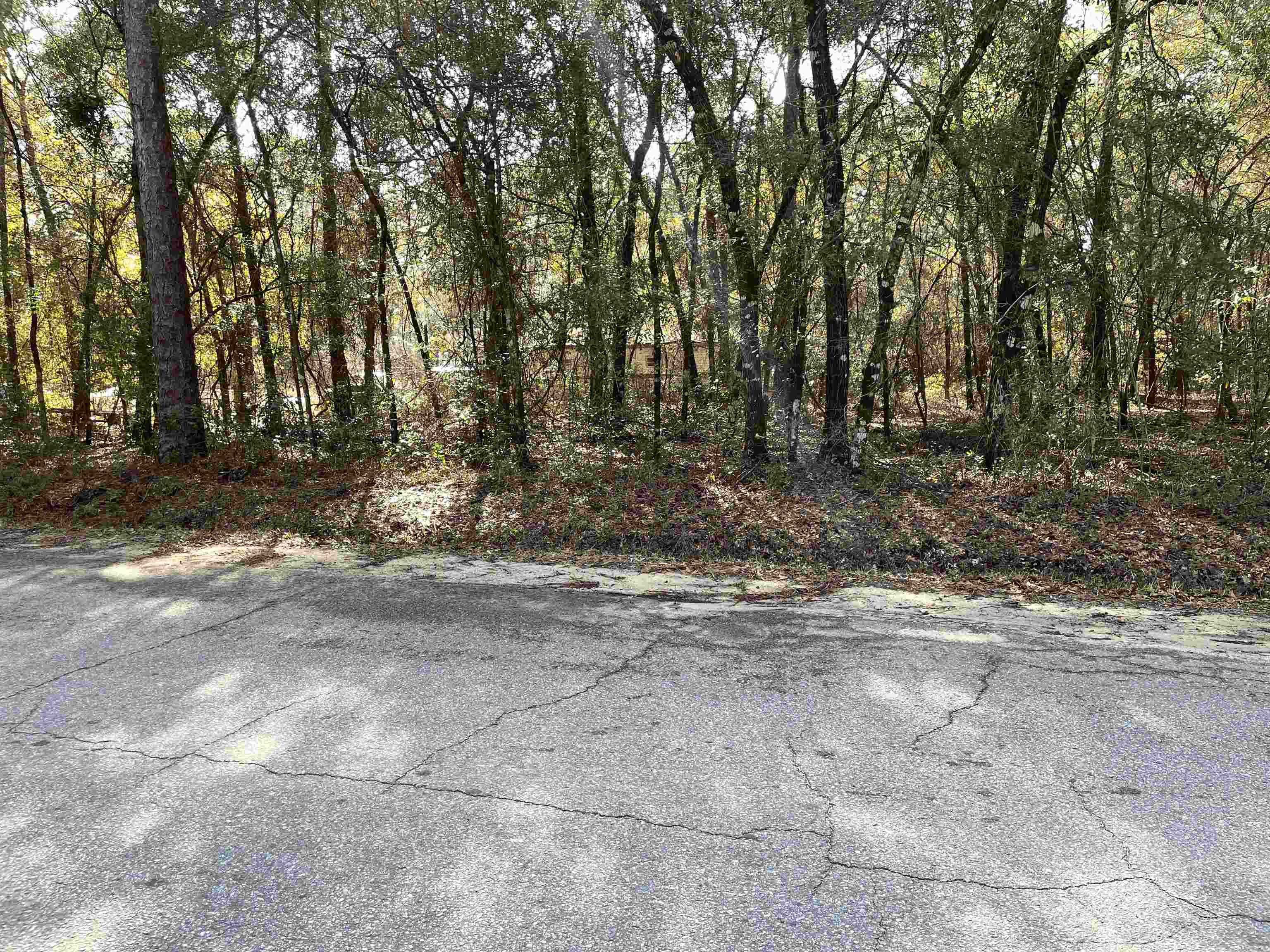 Xxx Reynolds Road Quincy, FL 32351 - Photo 2 of 14