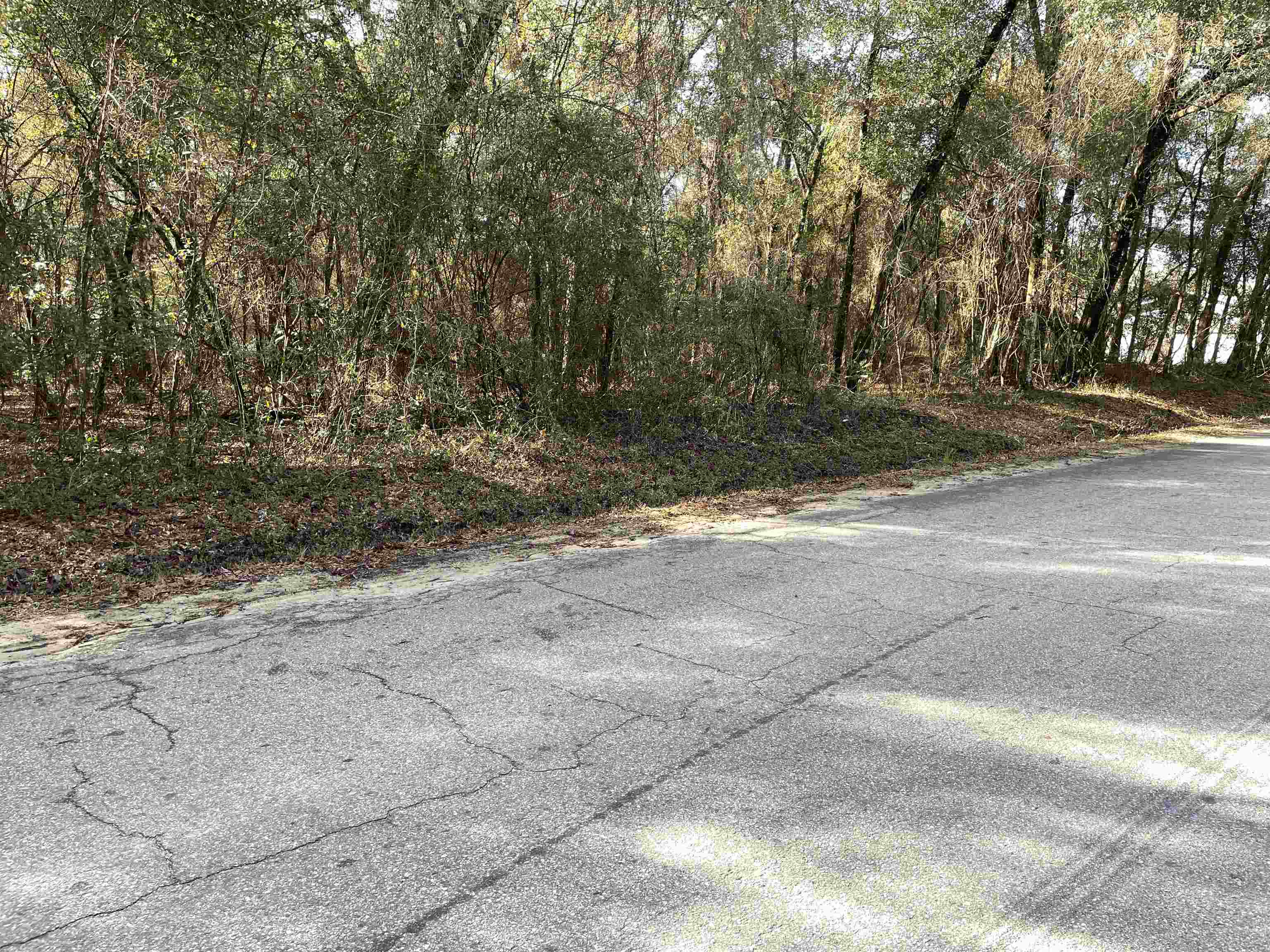 Xxx Reynolds Road Quincy, FL 32351 - Photo 4 of 14