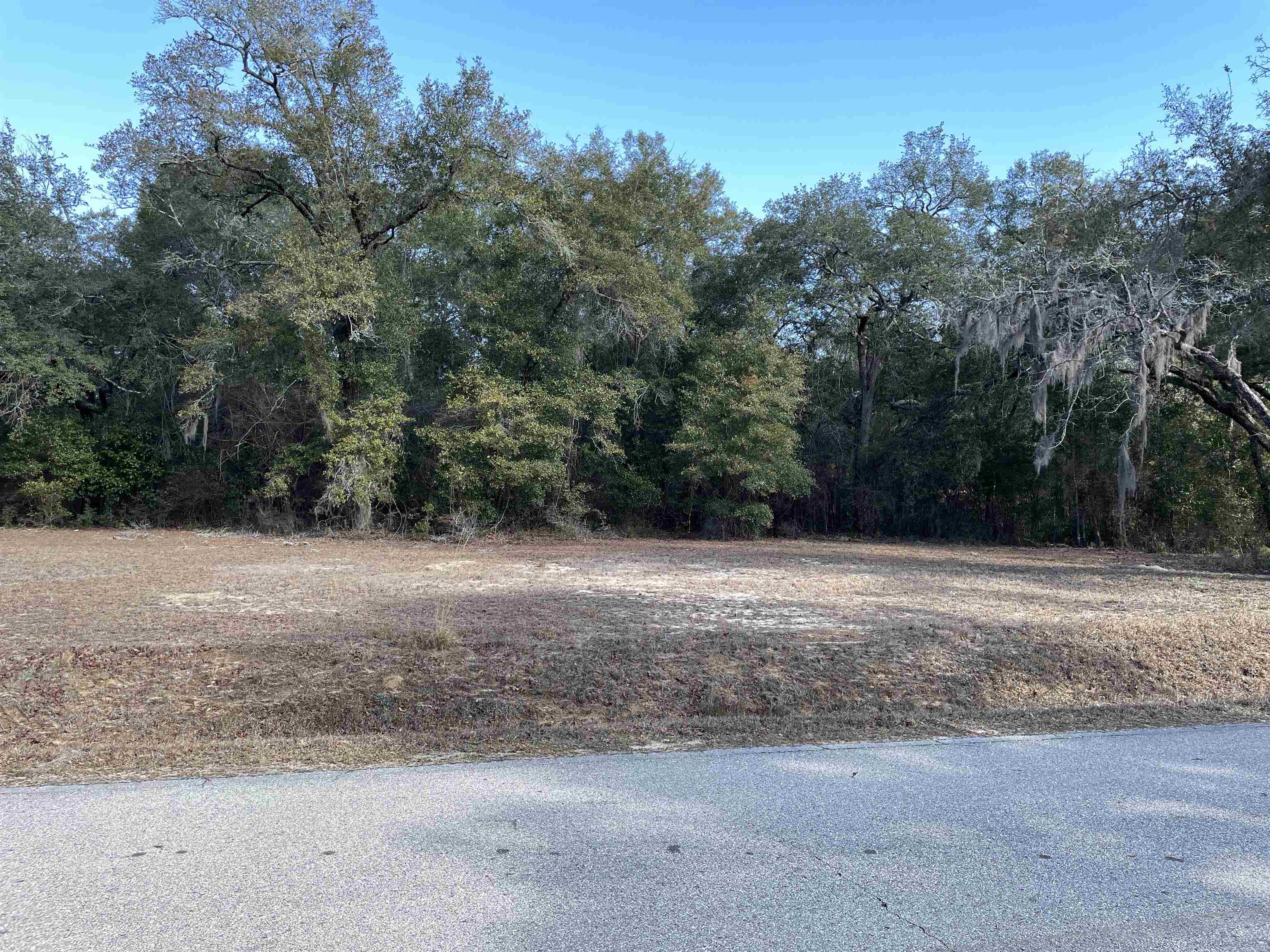 Xxx Reynolds Road Quincy, FL 32351 - Photo 8 of 14