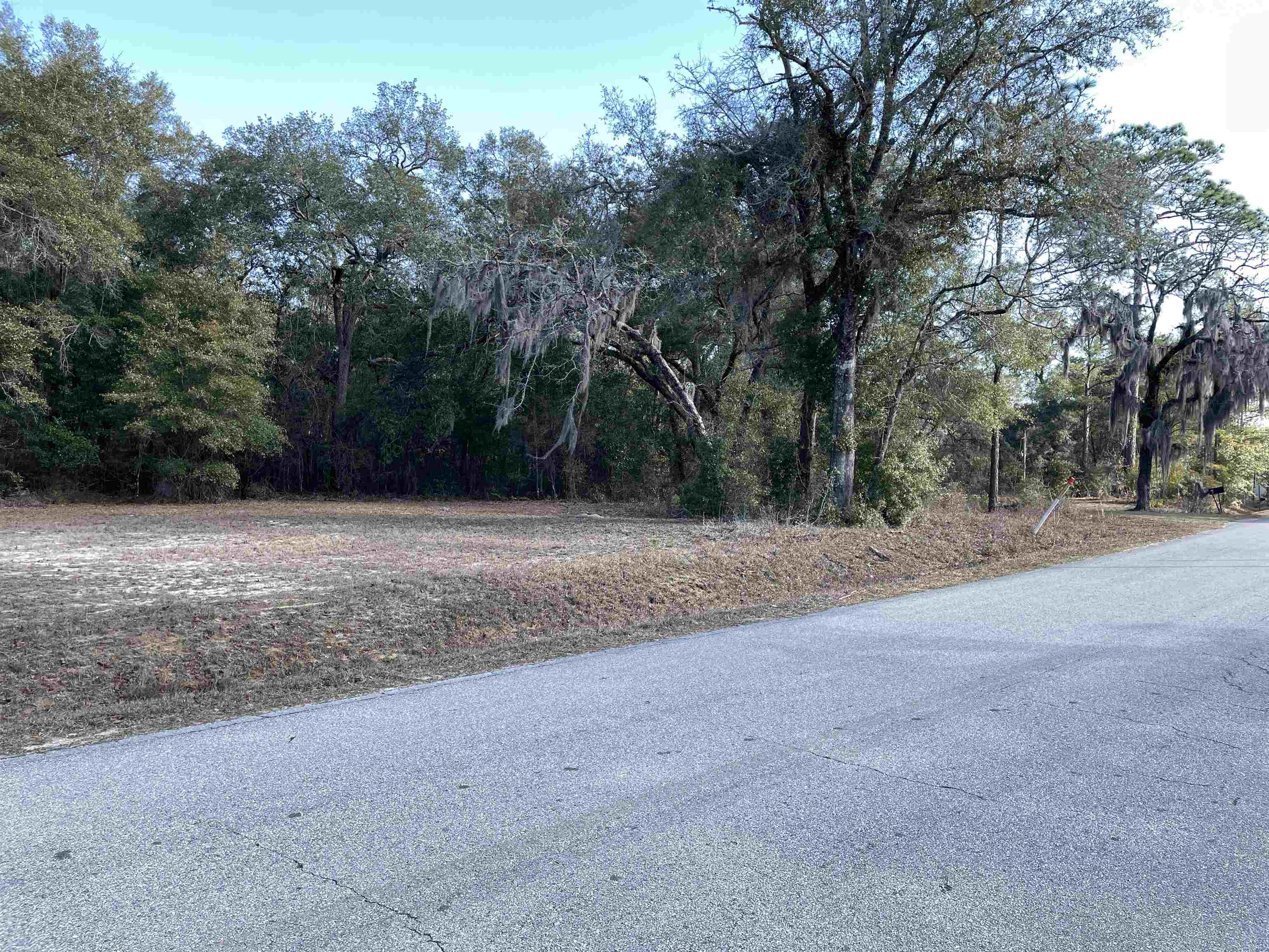 Xxx Reynolds Road Quincy, FL 32351 - Photo 10 of 14