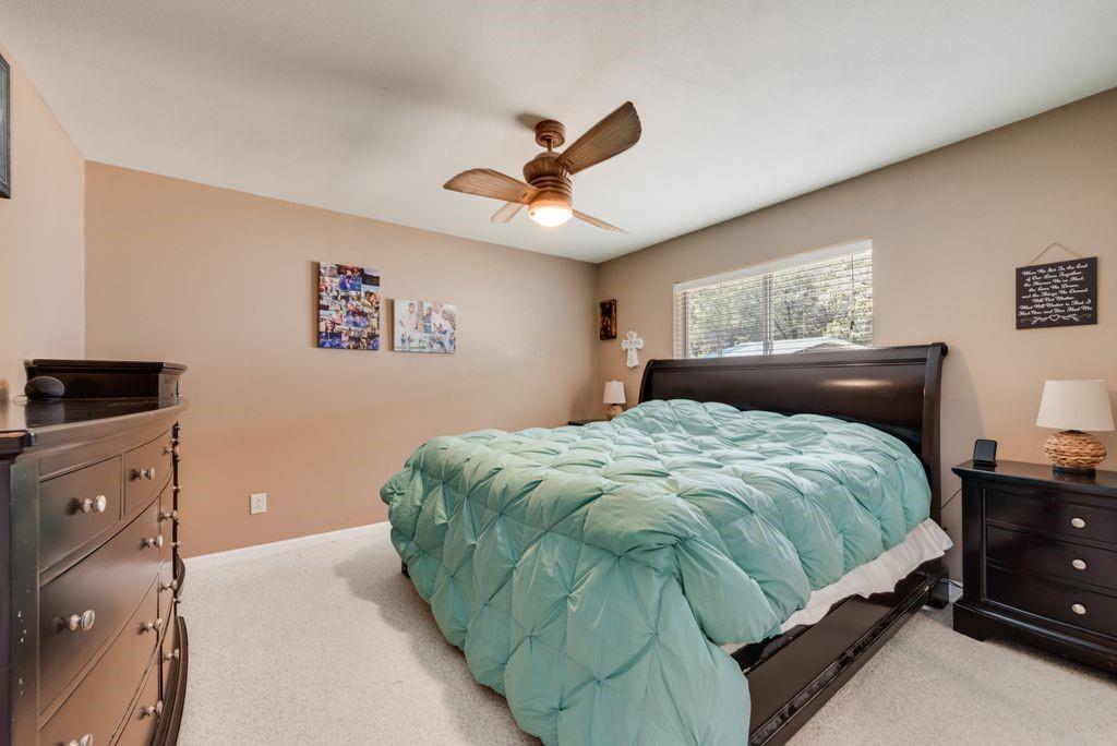 3617 Brandy Road Caddo, TX 76429 - Photo 18 of 40 Bedroom with light carpet and a ceiling fan