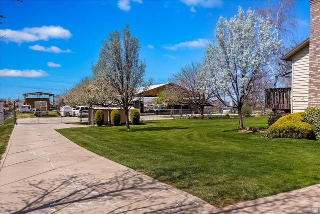 5321 South 3100th Street West Roy, UT 84067 - Photo 5 of 64 Expansive green lawn with mature flowering trees, a curved concrete driveway, and a partially visible siding and brick exterior