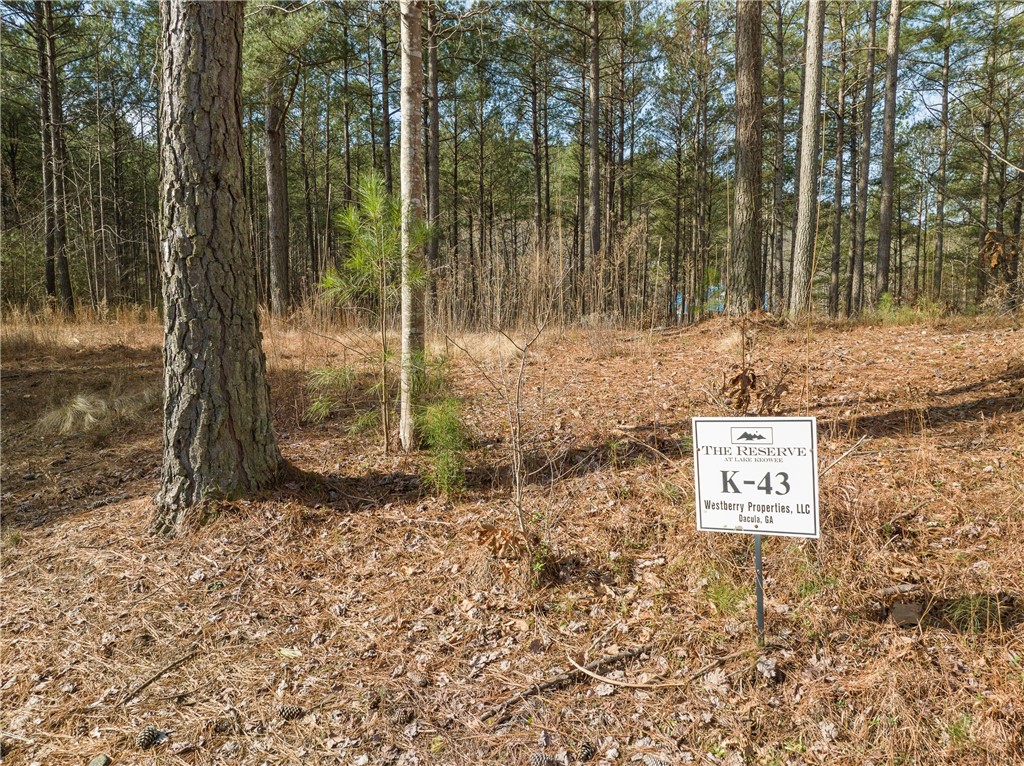 217 Featherstone Drive Sunset, SC 29685 - Photo 11 of 20