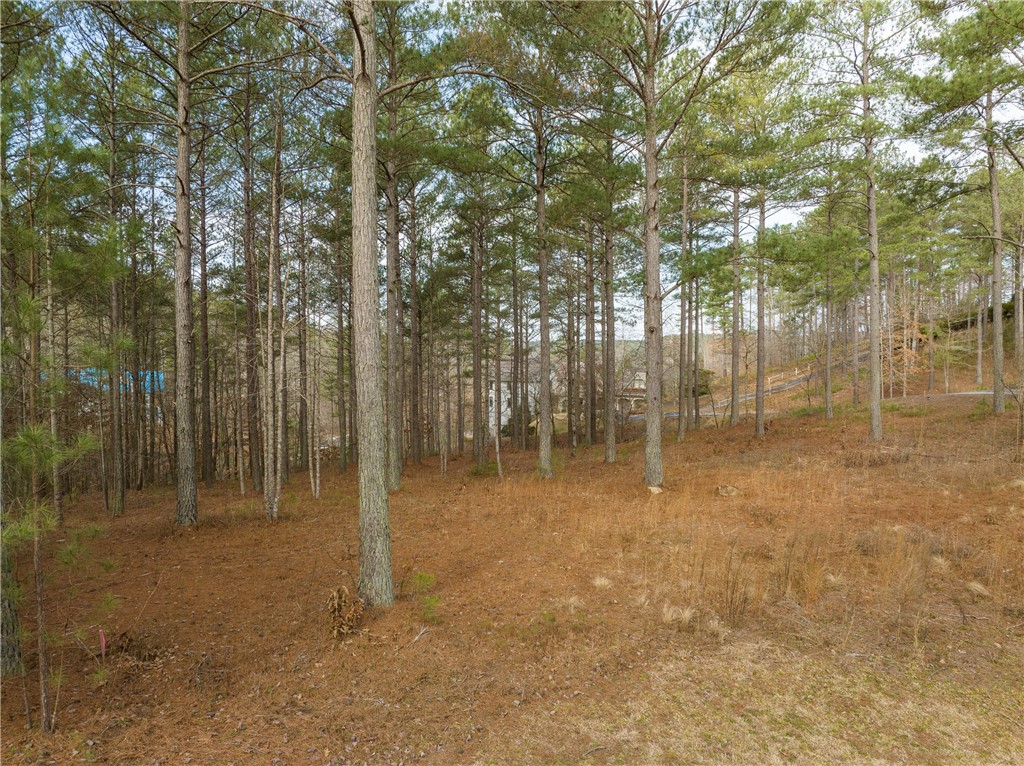 217 Featherstone Drive Sunset, SC 29685 - Photo 5 of 20