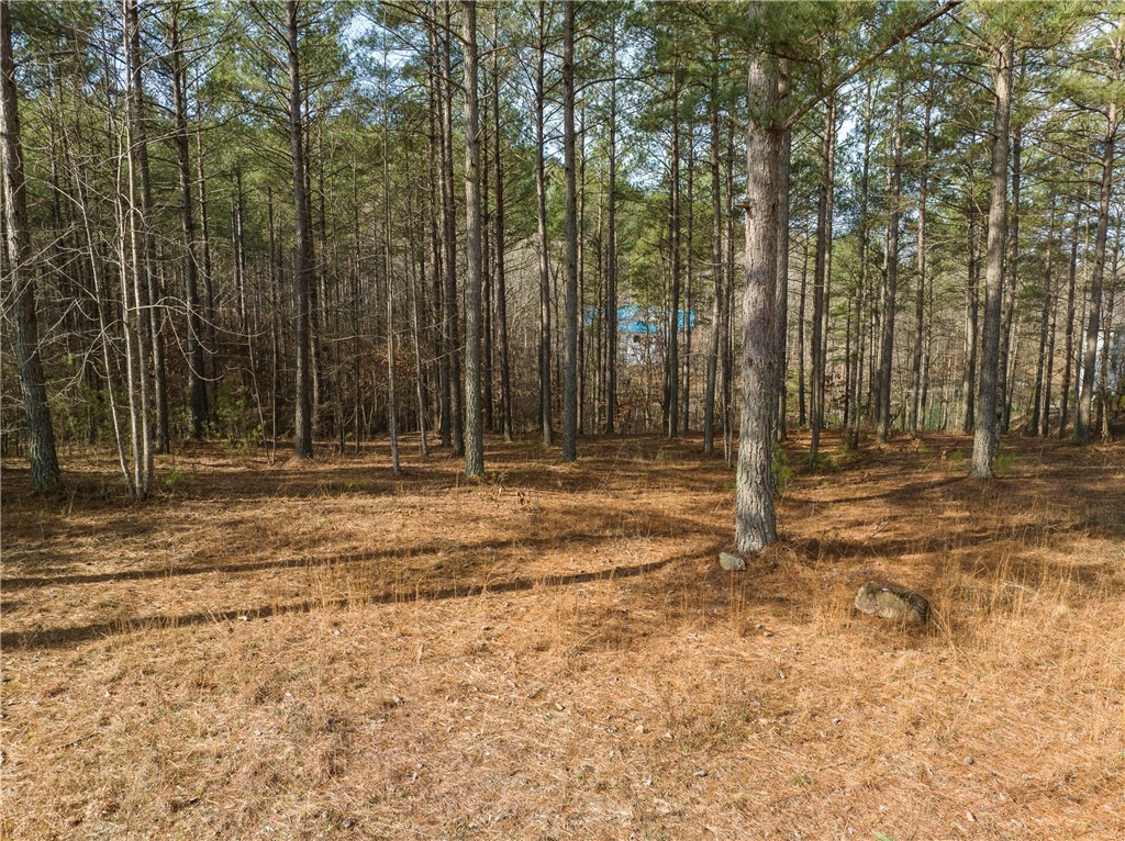 217 Featherstone Drive Sunset, SC 29685 - Photo 6 of 20