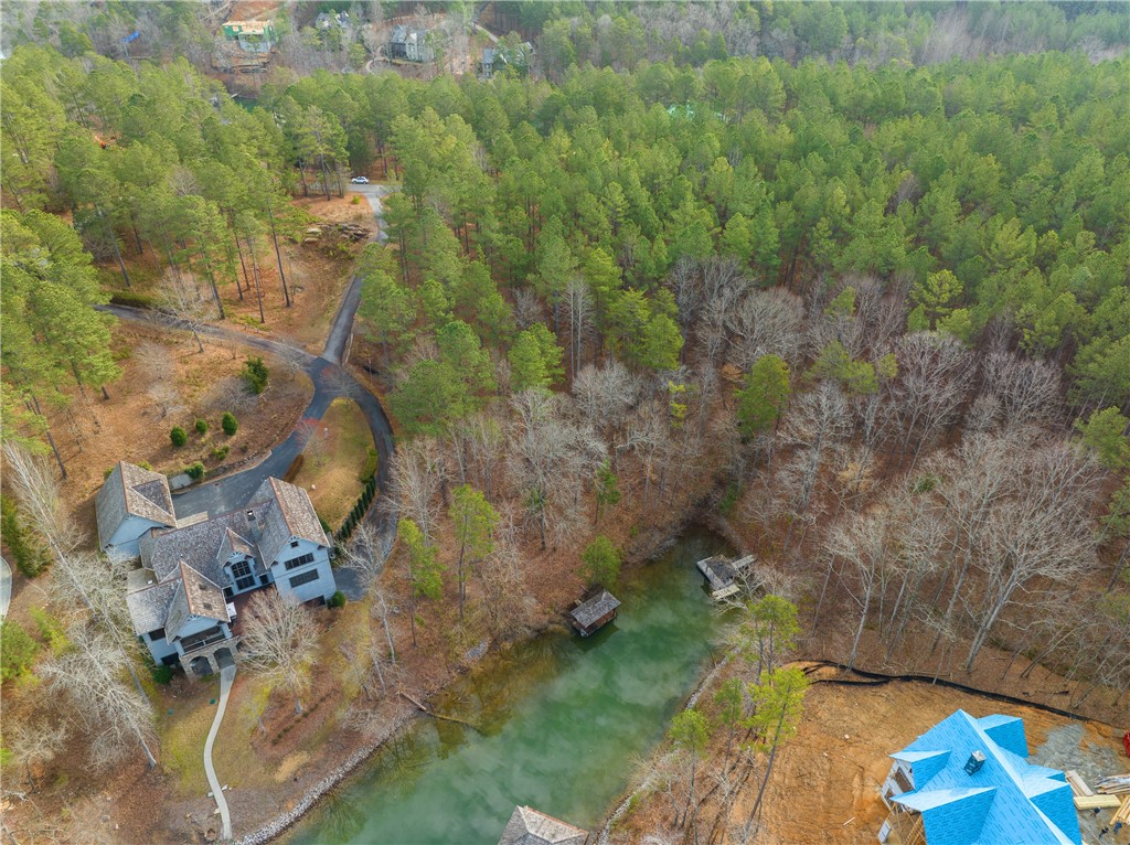 217 Featherstone Drive Sunset, SC 29685 - Photo 8 of 20