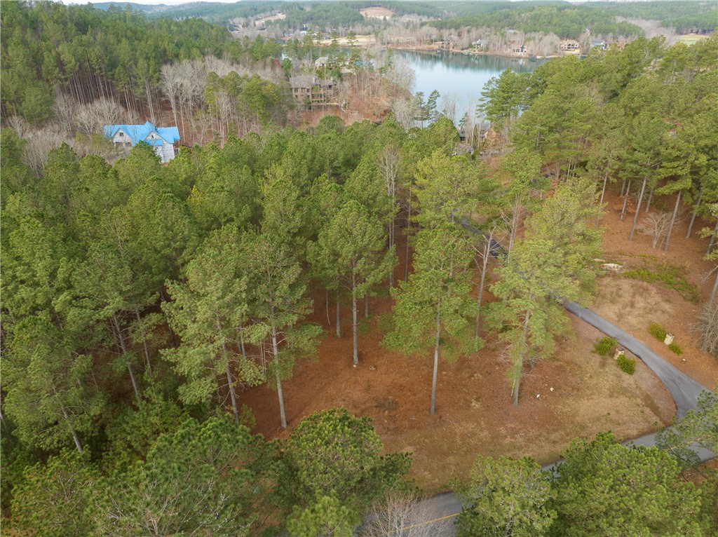 217 Featherstone Drive Sunset, SC 29685 - Photo 9 of 20