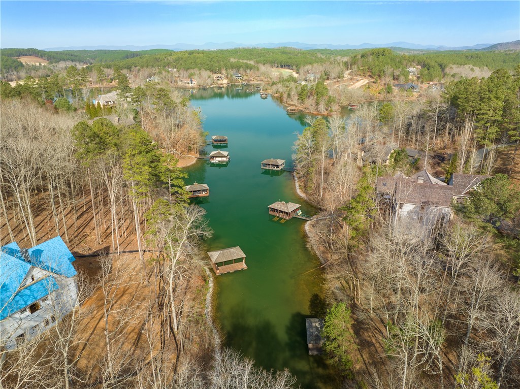 217 Featherstone Drive Sunset, SC 29685 - Photo 10 of 20