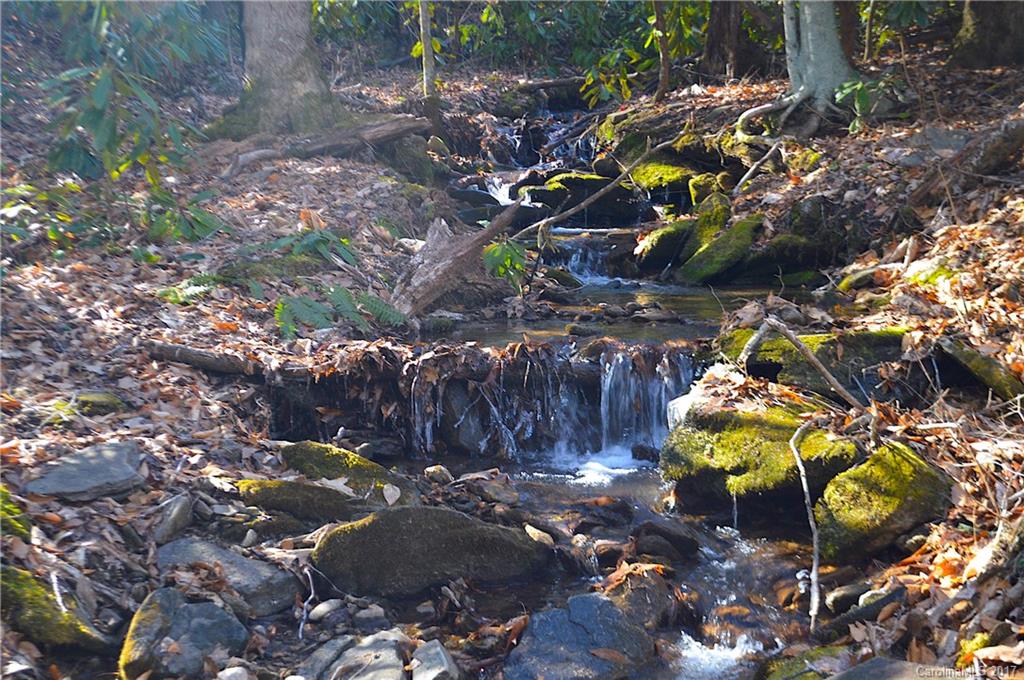 281 Reuben Branch Road Maggie Valley, NC 28751 - Photo 2 of 24