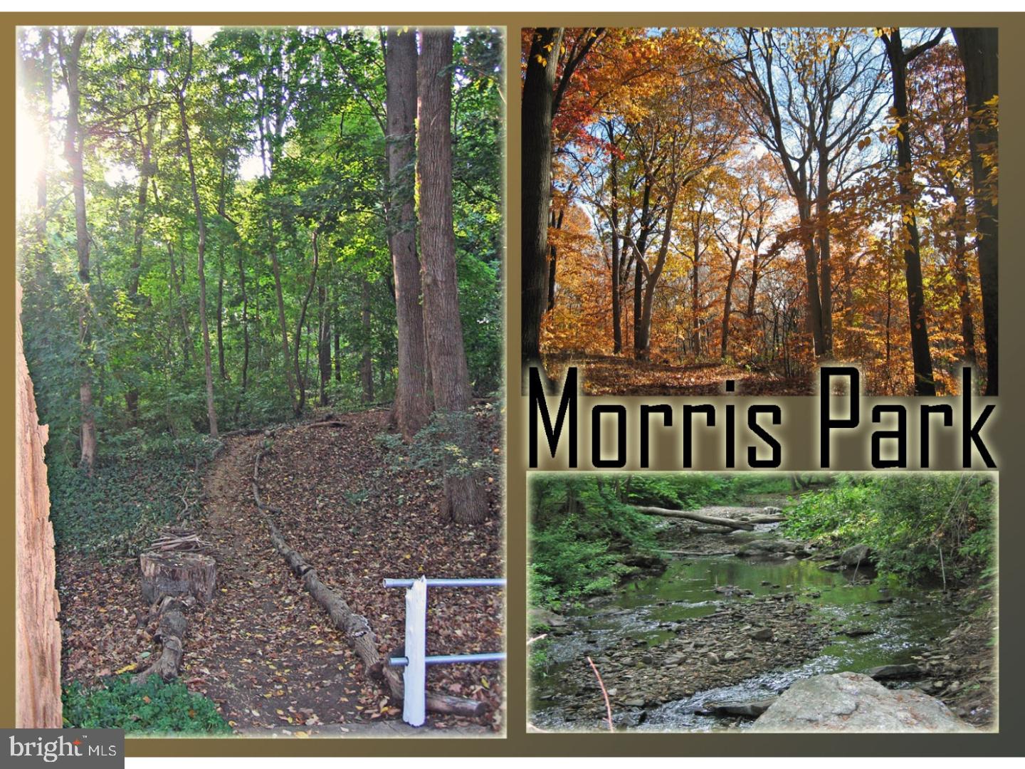 6492 Morris Park Road Philadelphia, PA 19151 - Photo 24 of 24