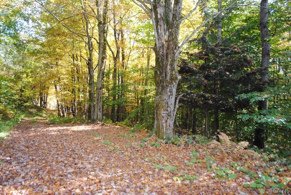 0 Wooliver Road Richland, NY 13144 - Photo 1 of 1 Gallery Image 1