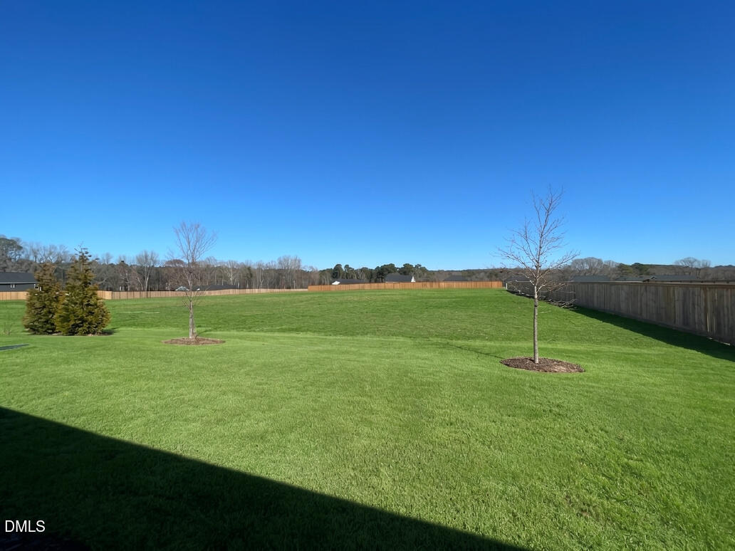 6117 Oak Psge Drive Raleigh, NC 27603 - Photo 25 of 25 a view of a field with an tree