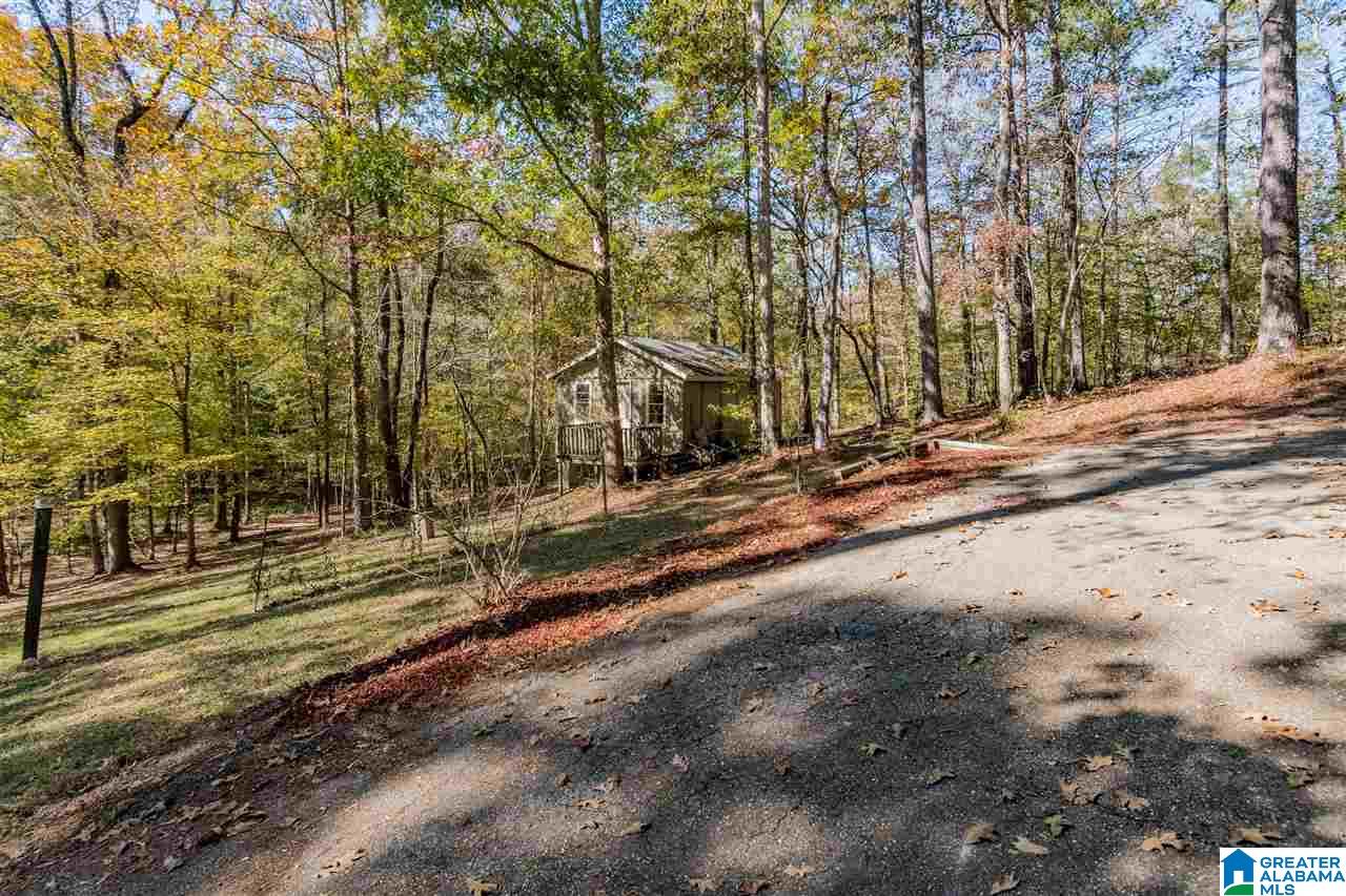 1620 Crenshaw Road Columbiana, AL 35051 - Photo 38 of 38