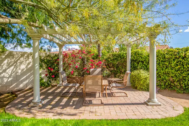 a view of a yard with plants and large trees