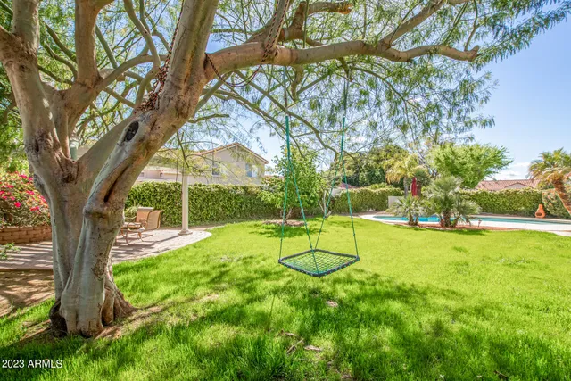 a view of a backyard with a table and a large tree