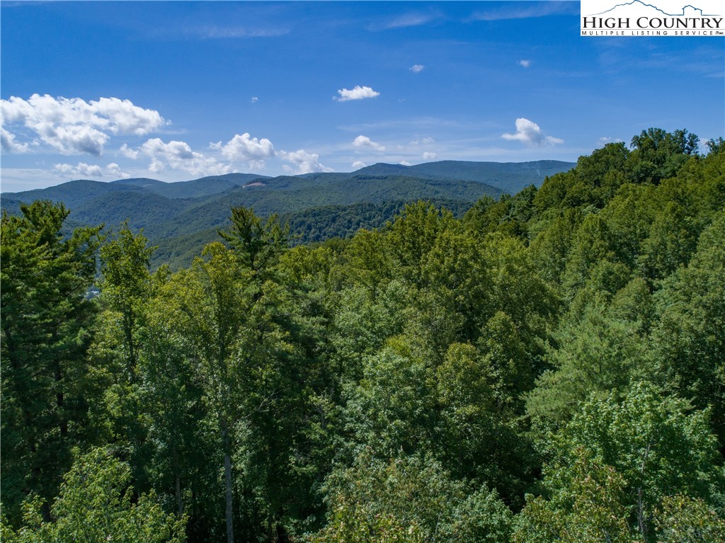 Russ Norris Road Elk Park, NC 28622 - Photo 28 of 35 Gallery Image 28