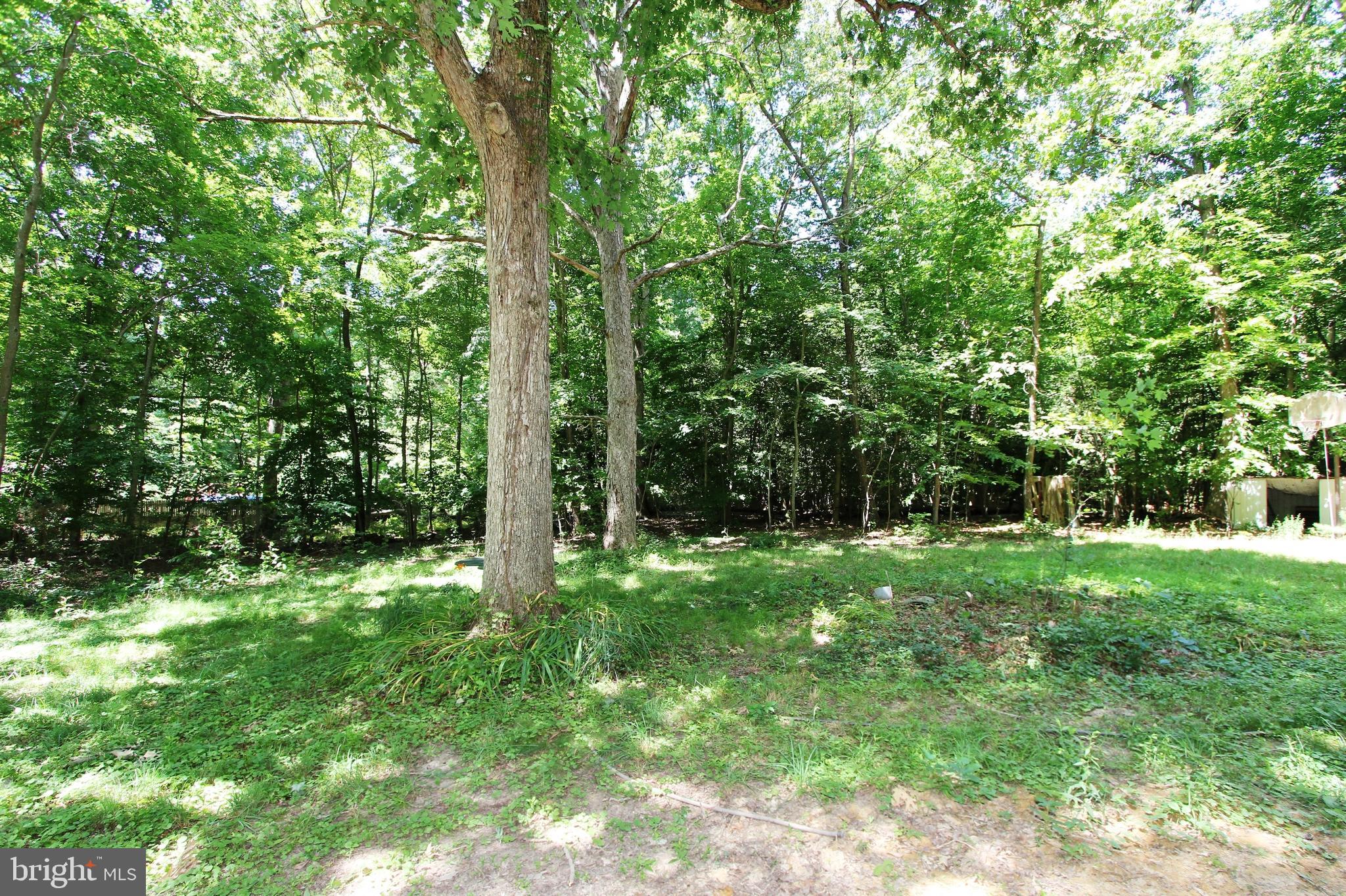 6157 Mason Springs Road Indian Head, MD 20640 - Photo 26 of 36 Front yard