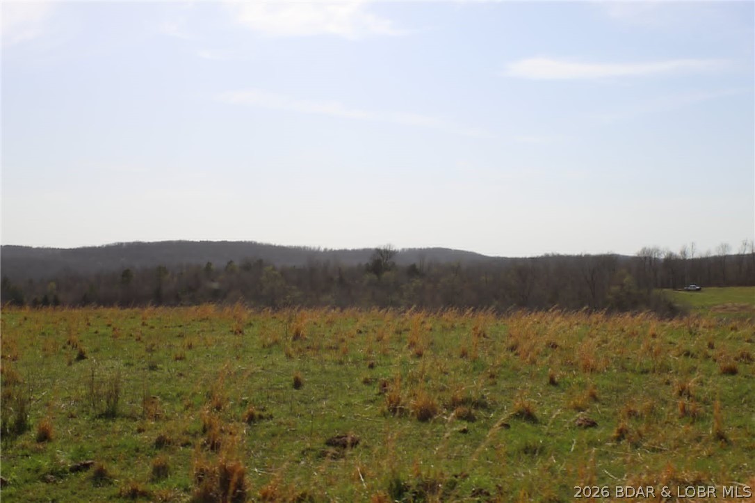 80-ac Ripley Co 80-ac Ripley Co 160w-15 Road Doniphan, MO 63935 - Photo 11 of 24