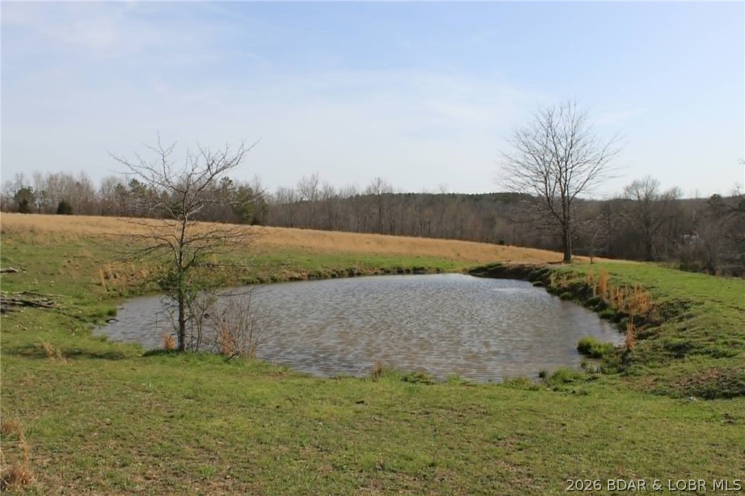 80-ac Ripley Co 80-ac Ripley Co 160w-15 Road Doniphan, MO 63935 - Photo 12 of 24