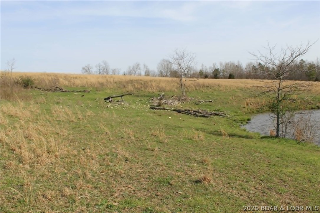 80-ac Ripley Co 80-ac Ripley Co 160w-15 Road Doniphan, MO 63935 - Photo 13 of 24