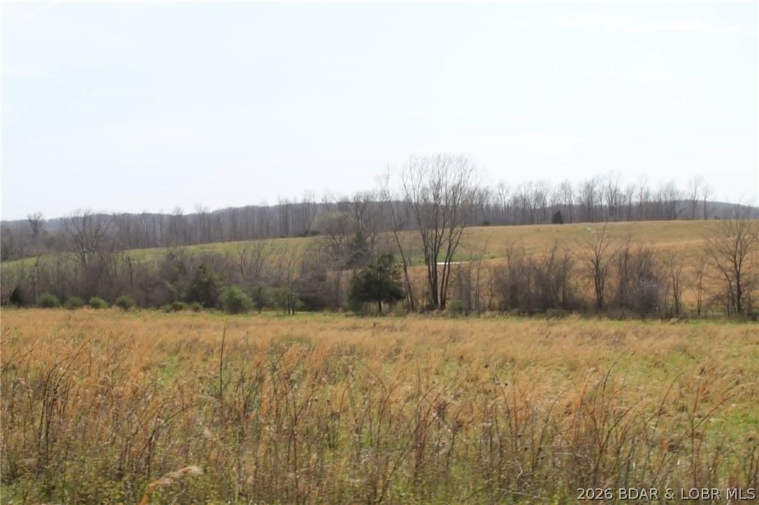80-ac Ripley Co 80-ac Ripley Co 160w-15 Road Doniphan, MO 63935 - Photo 14 of 24