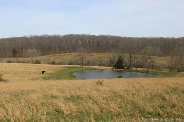 $275,000 | 80-ac Ripley Co 80-ac Ripley Co 160w-15 Road, Doniphan, MO 63935