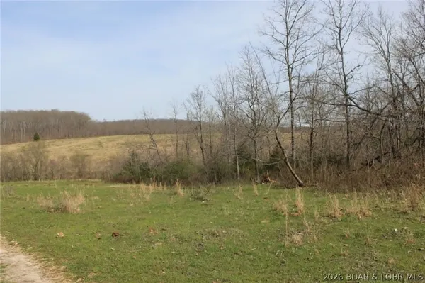 $275,000 | 80-ac Ripley Co 80-ac Ripley Co 160w-15 Road, Doniphan, MO 63935
