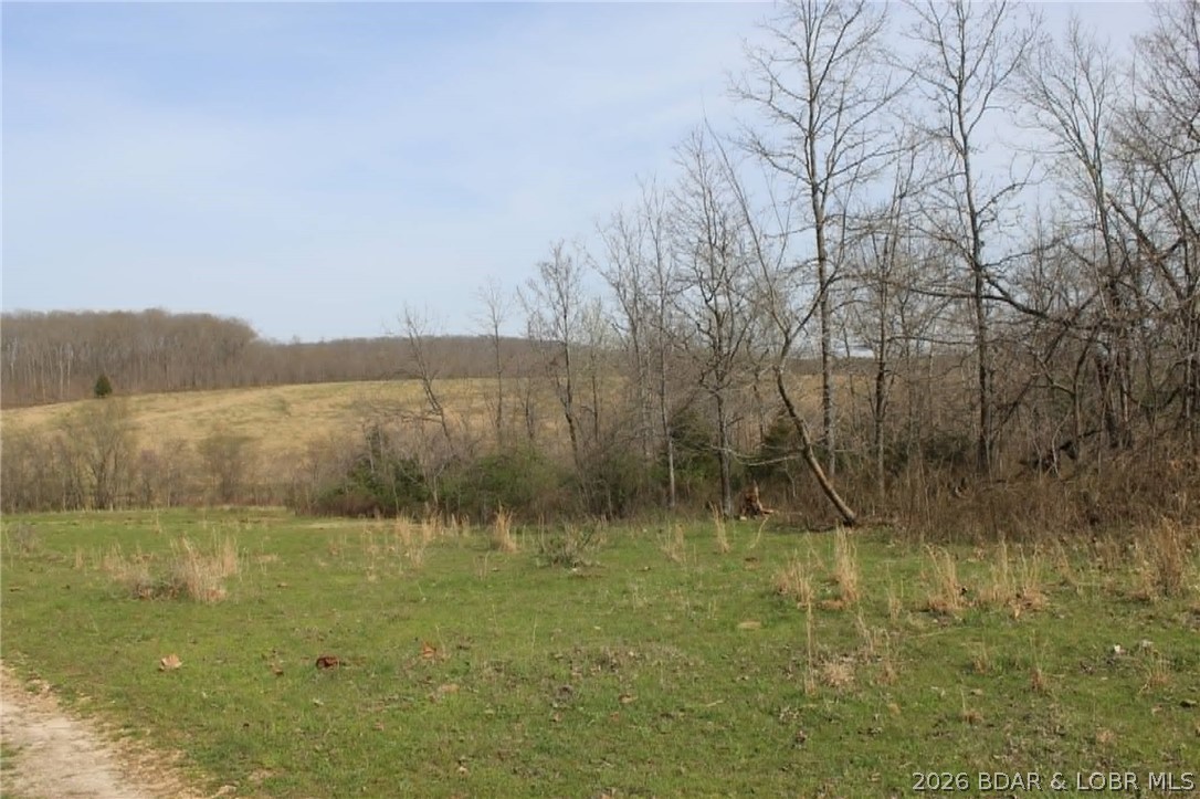 80-ac Ripley Co 80-ac Ripley Co 160w-15 Road Doniphan, MO 63935 - Photo 5 of 24