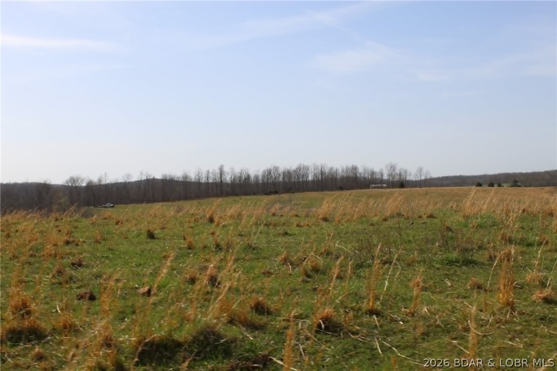 80-ac Ripley Co 80-ac Ripley Co 160w-15 Road Doniphan, MO 63935 - Photo 6 of 24