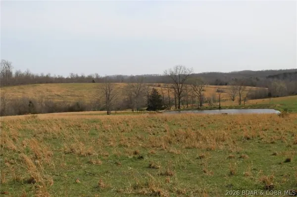 $275,000 | 80-ac Ripley Co 80-ac Ripley Co 160w-15 Road, Doniphan, MO 63935