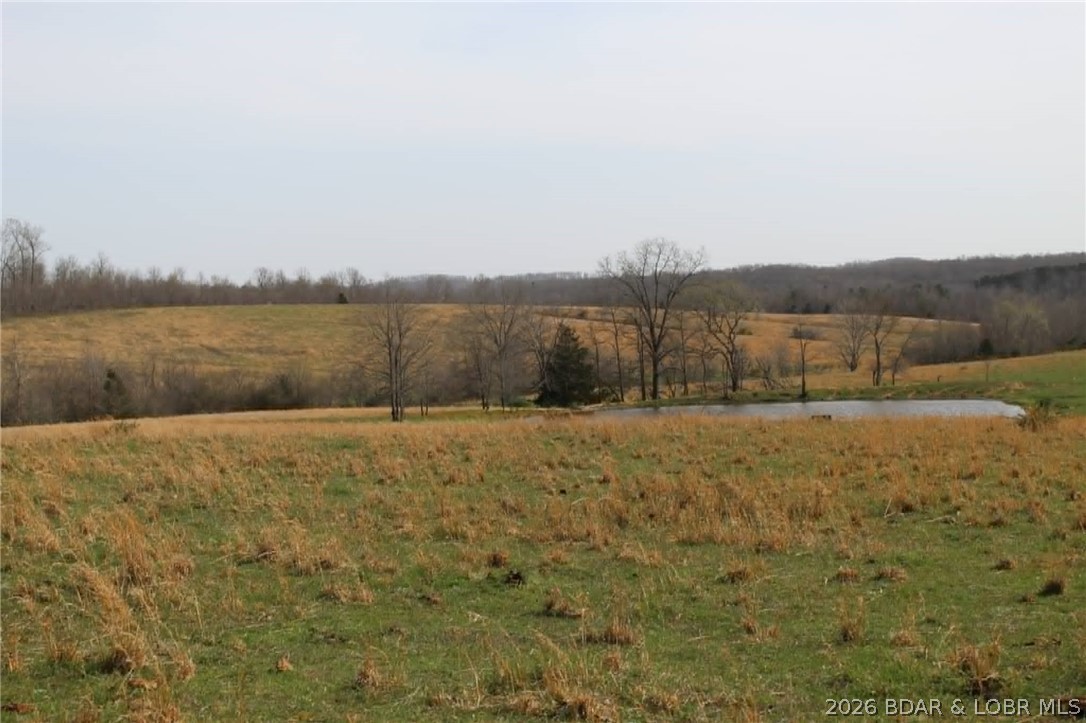 80-ac Ripley Co 80-ac Ripley Co 160w-15 Road Doniphan, MO 63935 - Photo 7 of 24