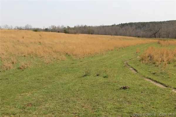 $275,000 | 80-ac Ripley Co 80-ac Ripley Co 160w-15 Road, Doniphan, MO 63935