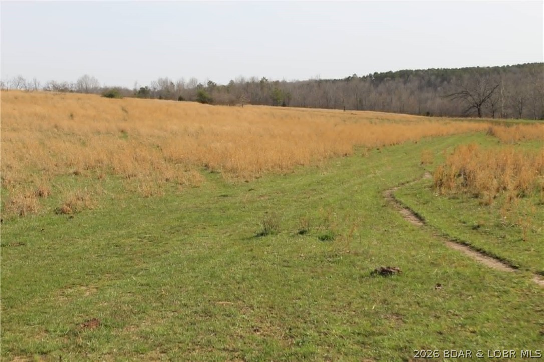 80-ac Ripley Co 80-ac Ripley Co 160w-15 Road Doniphan, MO 63935 - Photo 8 of 24