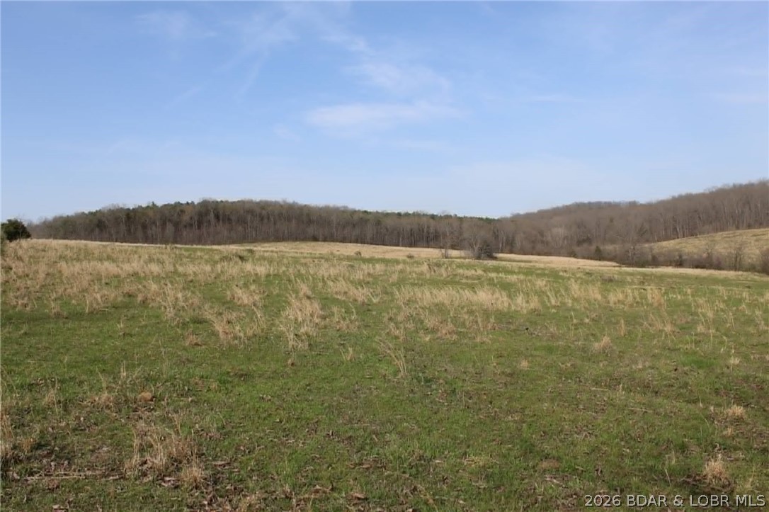 80-ac Ripley Co 80-ac Ripley Co 160w-15 Road Doniphan, MO 63935 - Photo 9 of 24