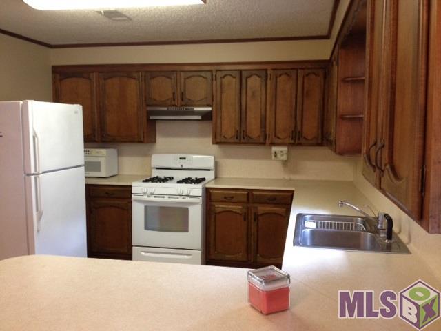 18076 Little Prairie Road Prairieville, LA 70769 - Photo 3 of 13