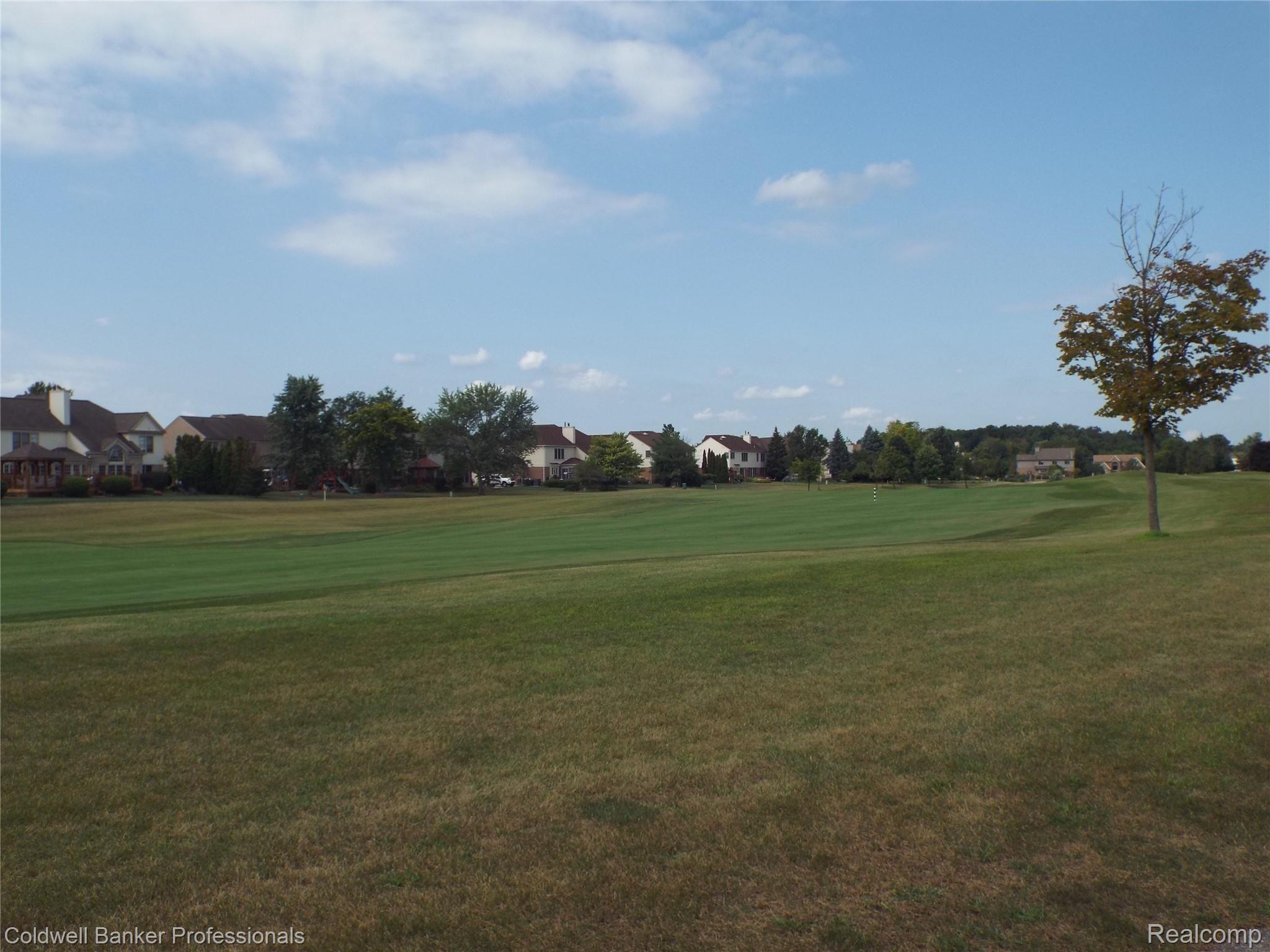 46473 Mornington Road Canton, MI 48188 - Photo 30 of 74 DSCF3629.JPG