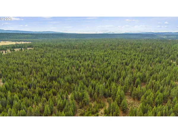 $95,000 | Bare Land, Chiloquin, OR 97624