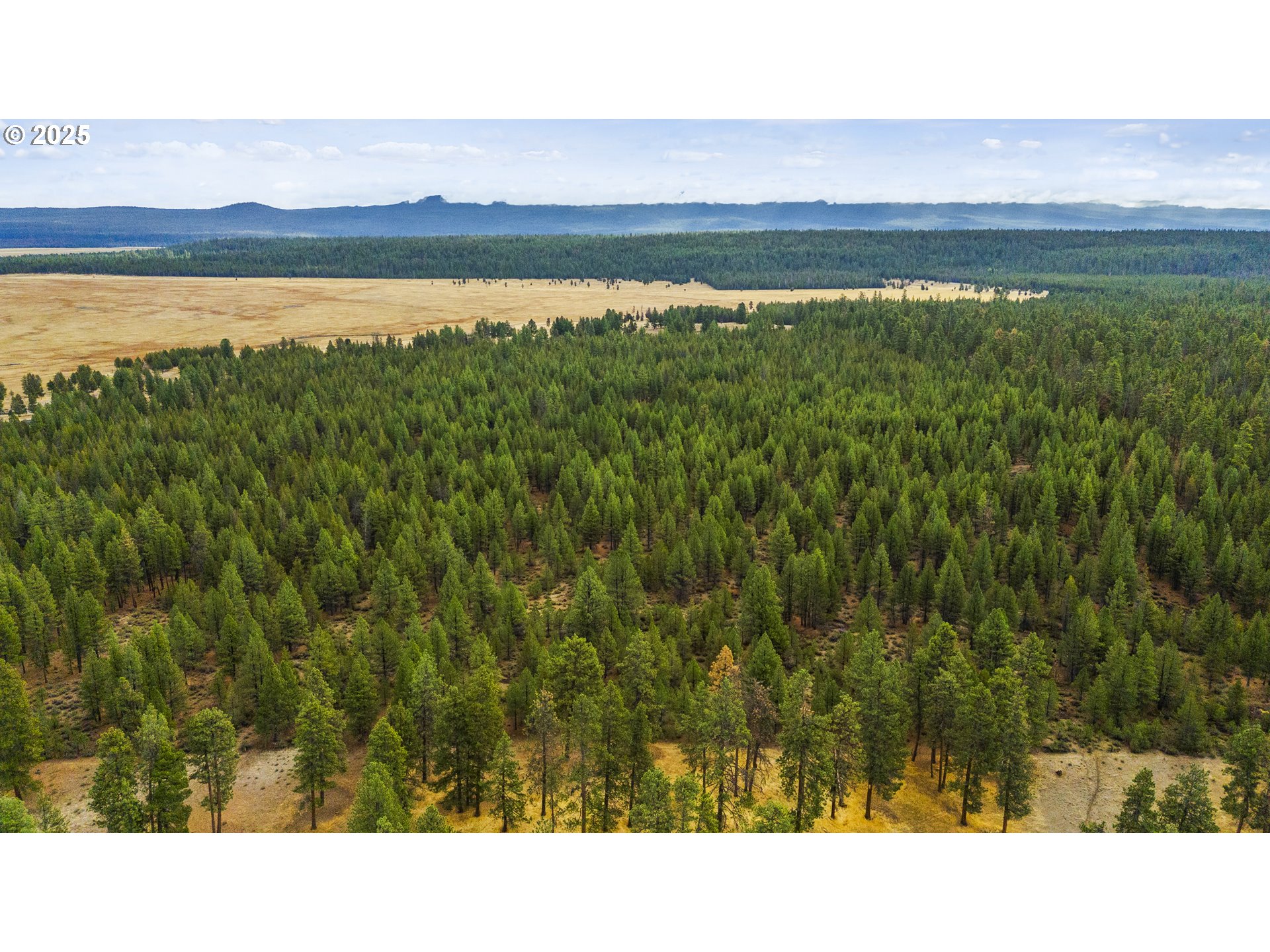 Bare Land Chiloquin, OR 97624 - Photo 12 of 25