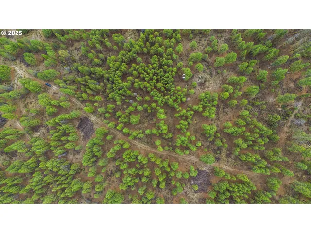 a black and white photo of a field