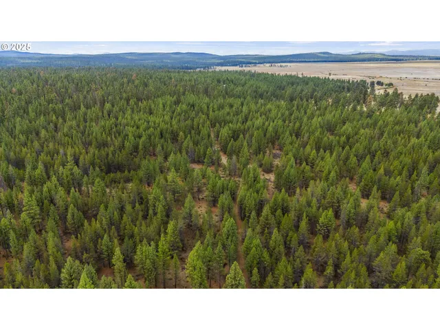 a black and white photo of a field
