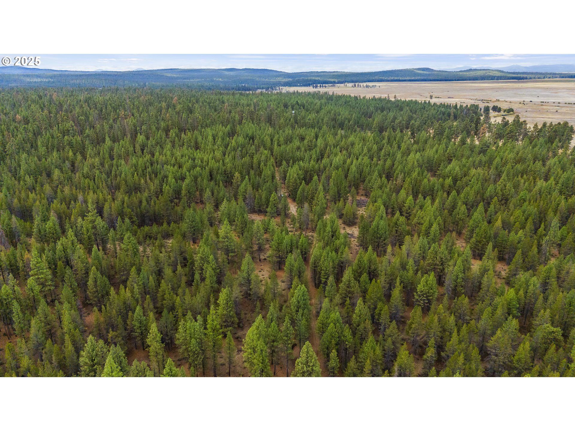 Bare Land Chiloquin, OR 97624 - Photo 15 of 25