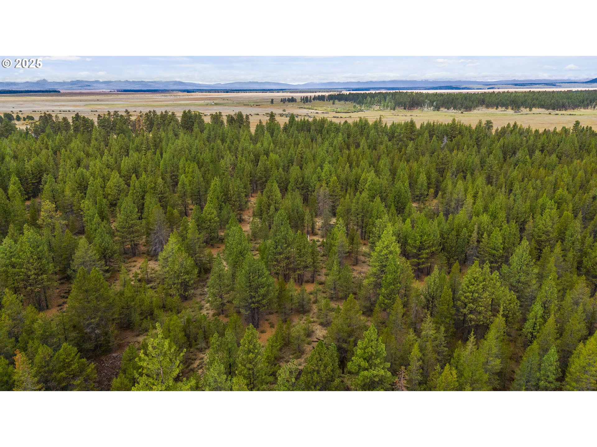 Bare Land Chiloquin, OR 97624 - Photo 16 of 25